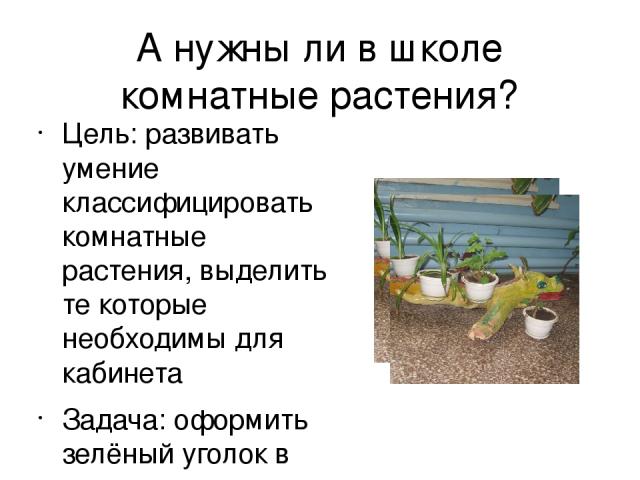 А нужны ли в школе комнатные растения? Цель: развивать умение классифицировать комнатные растения, выделить те которые необходимы для кабинета Задача: оформить зелёный уголок в школе и установить «лесную скульптуру»