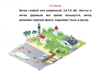 3-4 балла Ветер слабый или умеренный, 3,4-7,9 м/с. Листья и ветви деревьев все в