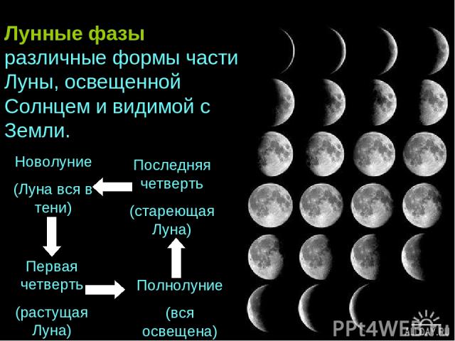 Новолуние (Луна вся в тени) Первая четверть (растущая Луна) Полнолуние (вся освещена) Последняя четверть (стареющая Луна) Лунные фазы – это различные формы части Луны, освещенной Солнцем и видимой с Земли.