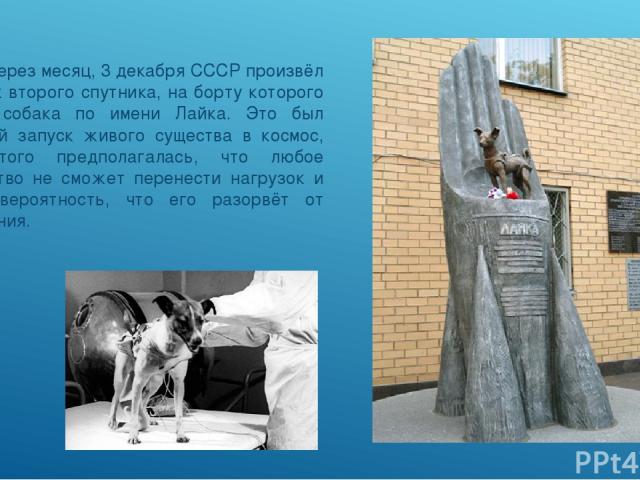 Уже через месяц, 3 декабря СССР произвёл запуск второго спутника, на борту которого была собака по имени Лайка. Это был первый запуск живого существа в космос, до этого предполагалась, что любое существо не сможет перенести нагрузок и есть вероятнос…