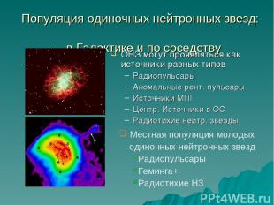 Популяция одиночных нейтронных звезд: в Галактике и по соседству ОНЗ могут прояв