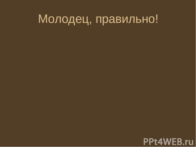 Молодец, правильно!