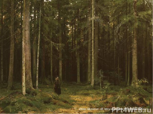 Иван Шишкин «В лесу графини Мордвиновой»