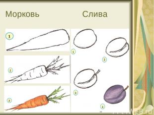 Морковь Слива