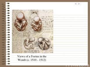 Views of a Foetus in the Womb (c. 1510 - 1512)