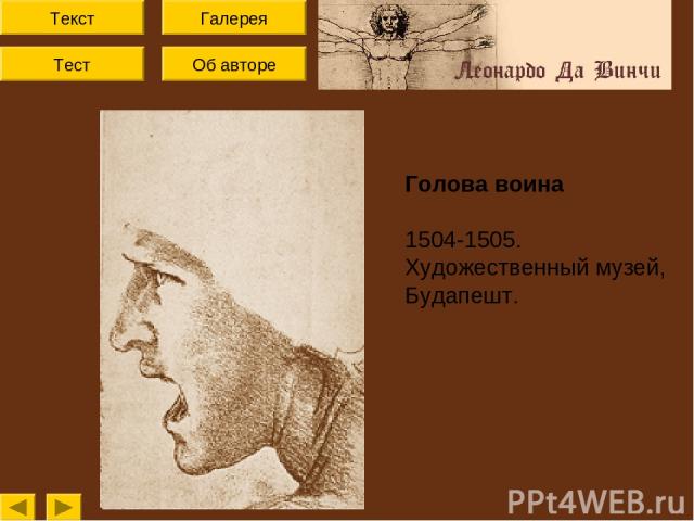 Текст Тест Об авторе Галерея Голова воина 1504-1505. Художественный музей, Будапешт.