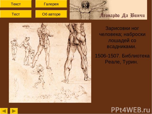 Текст Тест Об авторе Галерея Зарисовки ног человека; наброски лошадей со всадниками. 1506-1507. Библиотека Реале, Турин.