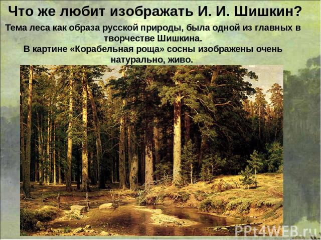 Тема леса как образа русской природы, была одной из главных в творчестве Шишкина. В картине «Корабельная роща» сосны изображены очень натурально, живо. Что же любит изображать И. И. Шишкин?