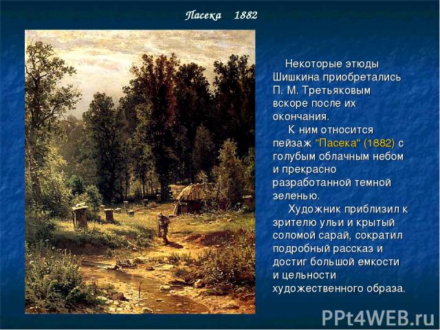 Пасека 1882 Некоторые этюды Шишкина приобретались П. М. Третьяковым вскоре после их окончания. К ним относится пейзаж 