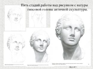 Пять стадий работы над рисунком с натуры гипсовой головы античной скульптуры. Аф