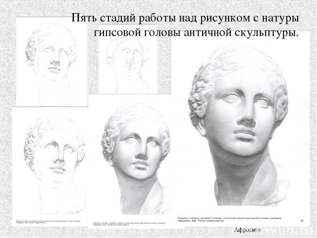Пять стадий работы над рисунком с натуры гипсовой головы античной скульптуры. Афродита
