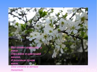 Вот слово «радость» у меня Отражено в цветущей вишне, И розовым лучом маня, Оно