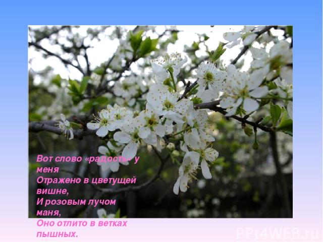 Вот слово «радость» у меня Отражено в цветущей вишне, И розовым лучом маня, Оно отлито в ветках пышных.