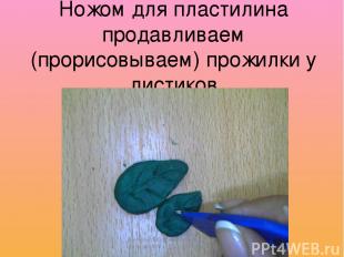 Ножом для пластилина продавливаем (прорисовываем) прожилки у листиков учитель ИЗ