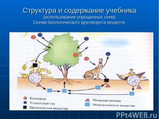 Структура и содержание учебника (использование упрощенных схем) Схема биологичес