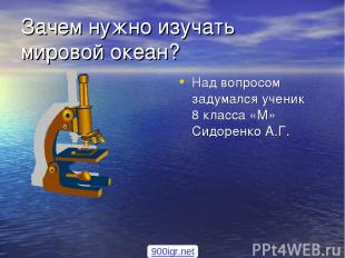 Зачем нужно изучать мировой океан? Над вопросом задумался ученик 8 класса «М» Си