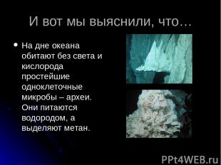 И вот мы выяснили, что… На дне океана обитают без света и кислорода простейшие о