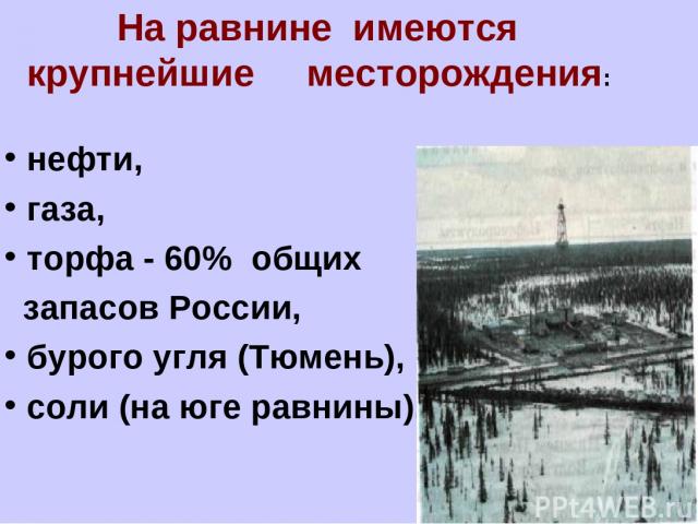 На равнине имеются крупнейшие месторождения: нефти, газа, торфа - 60% общих запасов России, бурого угля (Тюмень), соли (на юге равнины),