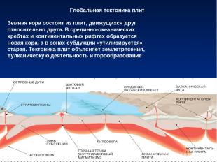 Глобальная тектоника плит Земная кора состоит из плит, движущихся друг относител