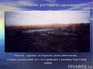 Проблемы малых рек Краснодарского края Многие деревья по берегам реки уничтожены
