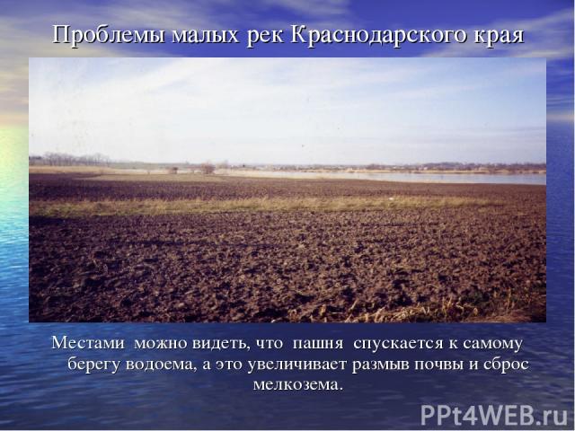 Проблемы малых рек Краснодарского края Местами можно видеть, что пашня спускается к самому берегу водоема, а это увеличивает размыв почвы и сброс мелкозема.