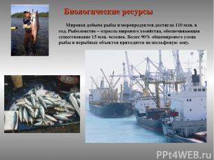 Мировая добыча рыбы и морепродуктов достигла 110 млн. в год. Рыболовство – отрас