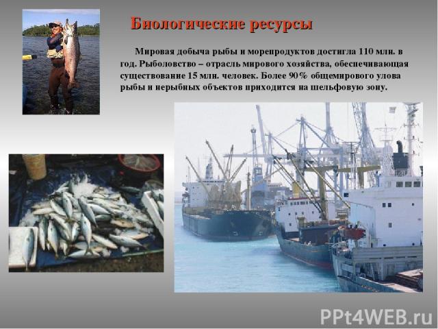 Мировая добыча рыбы и морепродуктов достигла 110 млн. в год. Рыболовство – отрасль мирового хозяйства, обеспечивающая существование 15 млн. человек. Более 90% общемирового улова рыбы и нерыбных объектов приходится на шельфовую зону. Биологические ресурсы
