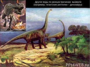 Другие виды по разным причинам вымерли (например, гигантские рептилии – динозавр