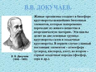 В. В. Докучаев (1846 - 1903) Живые организмы создают в биосфере круговороты важн