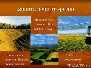 Защита почв от эрозии Полезащитные полосы в Воро- нежской области Приовражная По