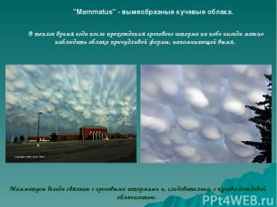 "Mammatus" - вымяобразные кучевые облака. В теплое время года после прохождения