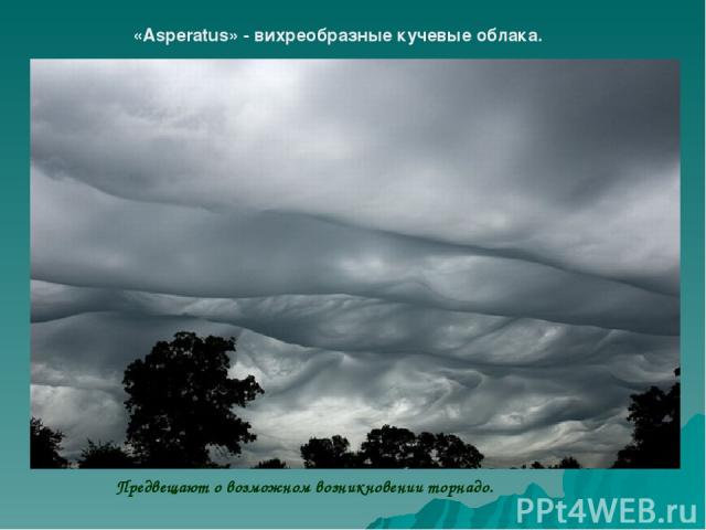 «Asperatus» - вихреобразные кучевые облака. Предвещают о возможном возникновении торнадо.
