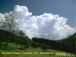 Кучевые облака, Cumulus, Cu. Облачность 5 баллов.