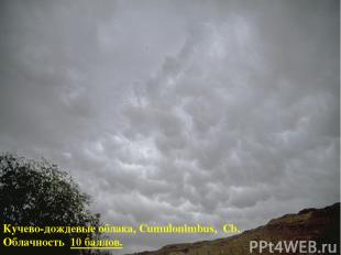 Кучево-дождевые облака, Cumulonimbus, Cb. Облачность 10 баллов.