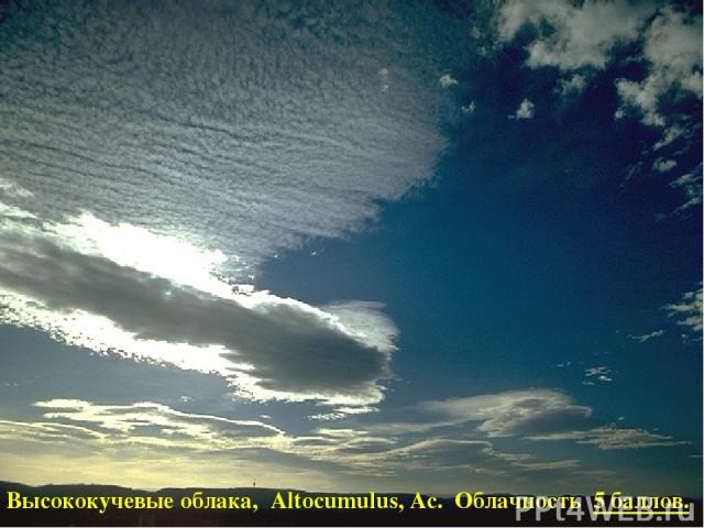 Высококучевые облака, Altocumulus, Ac. Облачность 5 баллов.