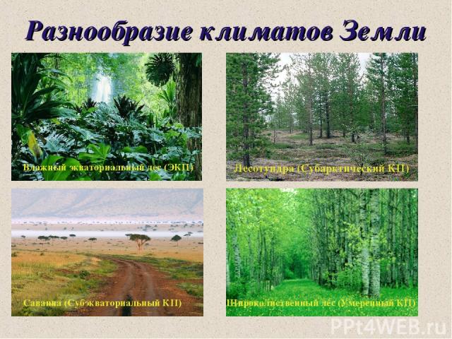 Разнообразие климатов Земли Лесотундра (Субарктический КП) Влажный экваториальный лес (ЭКП) Саванна (Субэкваториальный КП) Широколиственный лес (Умеренный КП)