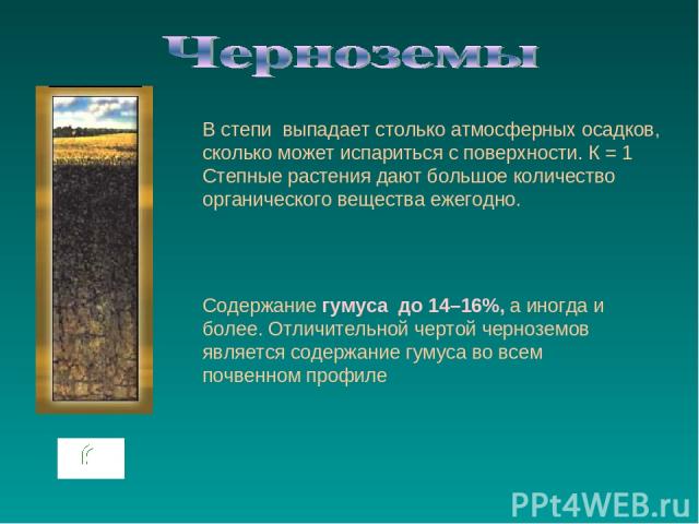 В степи выпадает столько атмосферных осадков, сколько может испариться с поверхности. К = 1 Степные растения дают большое количество органического вещества ежегодно. Содержание гумуса до 14–16%, а иногда и более. Отличительной чертой черноземов явля…