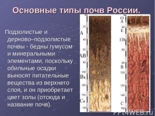 Основные типы почв России. Подзолистые и дерново–подзолистые почвы - бедны гумус