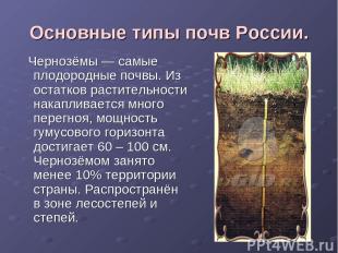 Основные типы почв России. Чернозёмы — самые плодородные почвы. Из остатков раст