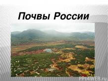 Характеристика почв России