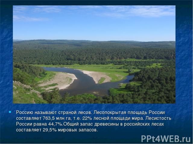 Россию называют страной лесов. Лесопокрытая площадь России составляет 763,5 млн га, т.е. 22% лесной площади мира. Лесистость России равна 44,7%.Общий запас древесины в российских лесах составляет 29,5% мировых запасов.