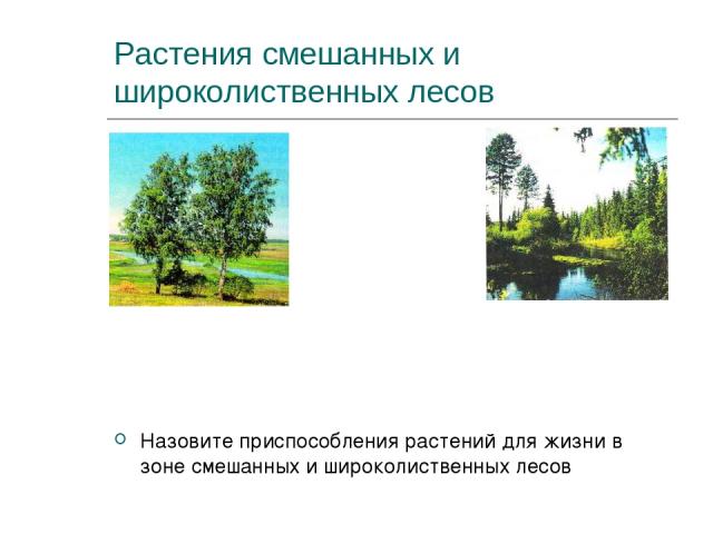 Растения смешанных и широколиственных лесов Назовите приспособления растений для жизни в зоне смешанных и широколиственных лесов