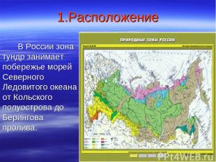 1.Расположение В России зона тундр занимает побережье морей Северного Ледовитого