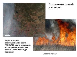 Степной пожар Карта пожаров размещенная на сайте РГО (МЧС знала ситуацию, но упо