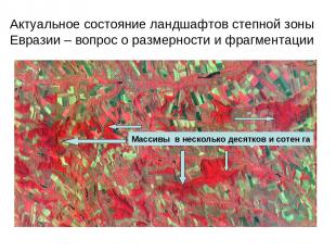 Актуальное состояние ландшафтов степной зоны Евразии – вопрос о размерности и фр