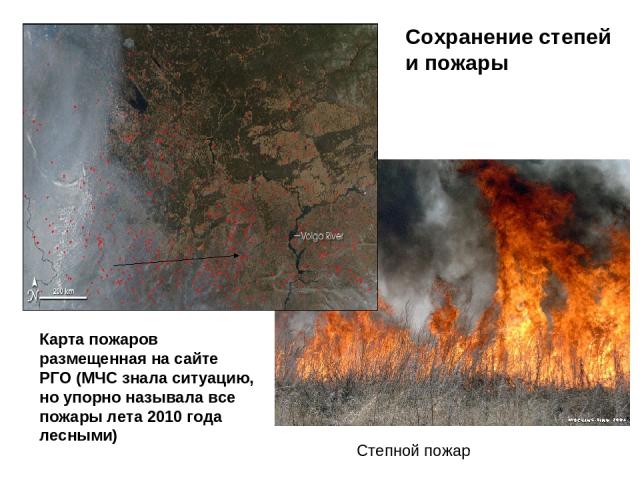 Степной пожар Карта пожаров размещенная на сайте РГО (МЧС знала ситуацию, но упорно называла все пожары лета 2010 года лесными) Сохранение степей и пожары