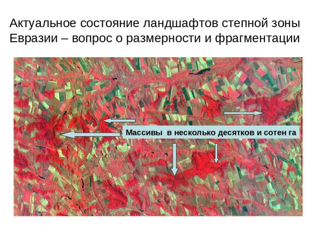 Актуальное состояние ландшафтов степной зоны Евразии – вопрос о размерности и фрагментации Массивы в несколько десятков и сотен га