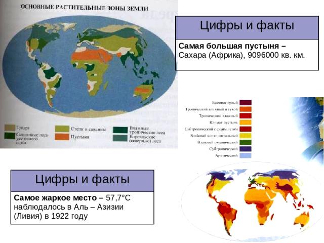Цифры и факты Самая большая пустыня – Сахара (Африка), 9096000 кв. км. Цифры и факты Самое жаркое место – 57,7°С наблюдалось в Аль – Азизии (Ливия) в 1922 году