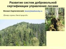 Управление лесом