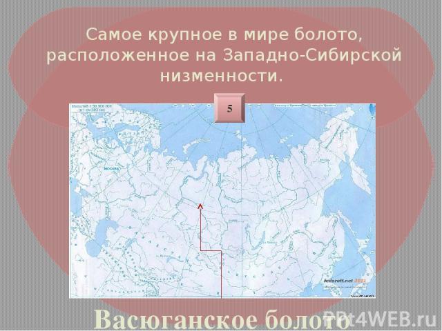 Самое крупное в мире болото, расположенное на Западно-Сибирской низменности. Васюганское болото 5